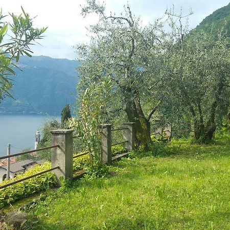 Villa Gli Ulivi Di Nesso Exterior foto